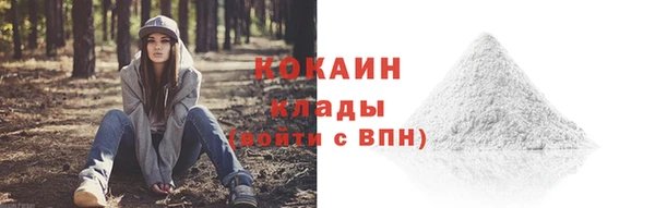 винт Баксан