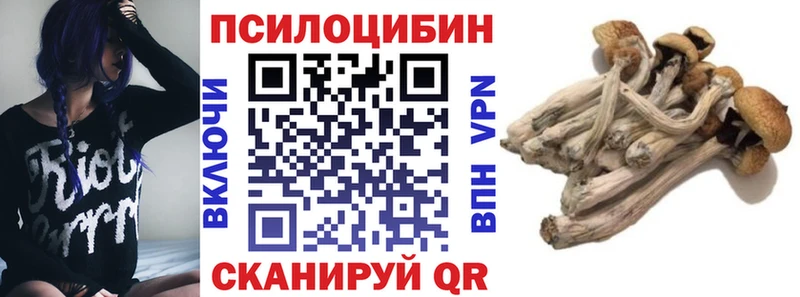 Галлюциногенные грибы мицелий Гурьевск